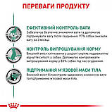 Вологий корм для дорослих собак Royal Canin Satiety Weight Management Dog Cans 0.41 кг, фото 6