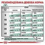Вологий корм для дорослих собак Royal Canin Satiety Weight Management Dog Cans 0.41 кг, фото 7
