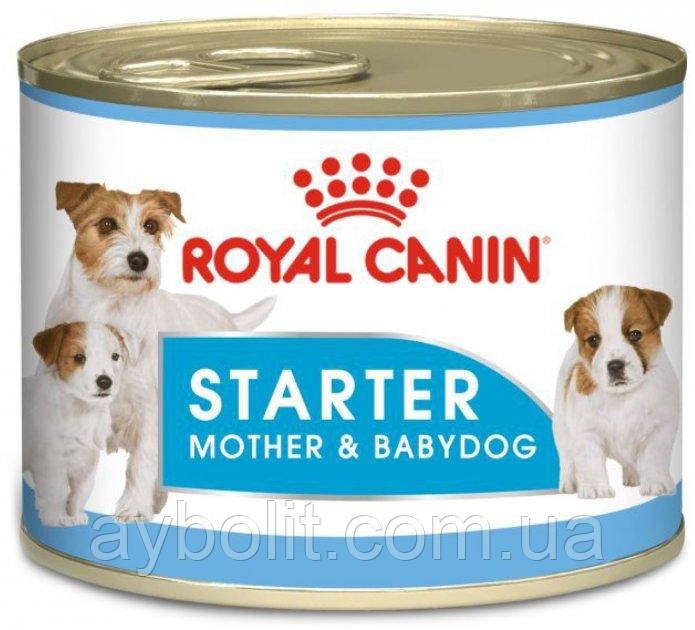 Вологий корм для новонароджених собак Royal Canin Starter Mouse 0.195 кг