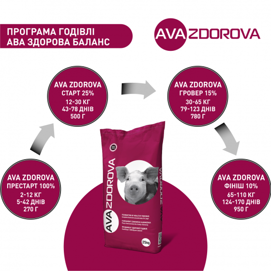 БМВД для свиней поросят старт AVA ZDOROVA (АВА ЗДОРОВА) 25% от 12-30 кг. Фасовка 25 кг - фото 5 - id-p1375330657