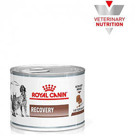 Волога дієта Royal Canin Recovery для кішок і собак в період відновлення після хвороби 195 г (9003579307717)