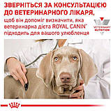 Волога дієта Royal Canin Recovery для кішок і собак в період відновлення після хвороби 195 г (9003579307717), фото 5