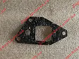 Прокладка корпусу водяного насоса помпи до блоку Ваз 2101 2102 2103 2104 2105 2106 2107, фото 3