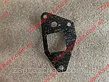 Прокладка корпусу водяного насоса помпи до блоку Ваз 2101 2102 2103 2104 2105 2106 2107, фото 4