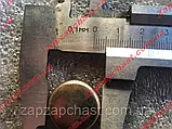 Заглушка розподільного валу Ваз 2101 2102 2103 2104 2105 2106 2107 (колектора 2108 2109 21099 (ф22), фото 4