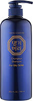 Шампунь тонизирующий для жирной кожи головы Daeng Gi Meo Ri ChungEun Shampoo For Oily Scalp 780 мл (20009Gu)