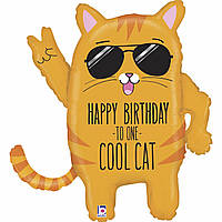 Фольгированный большой шар Grabo рыжий Супер кот с надписью Happy birthday to one cool cat, 63х54 см