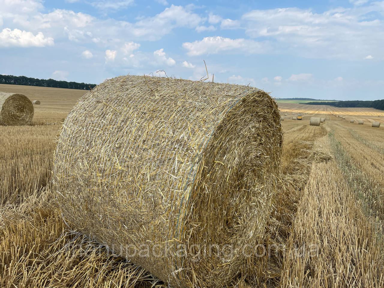 Сітка сінов’язальна ManuAgri для пакування силосу, сіна, соломи та сінажу (1230 мм 2000 м)