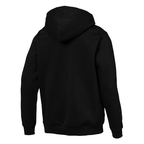 Puma essentials fleece hoody hotsell