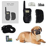 Нашийник для дресирування та корекції поведінки кішок та собак електронний Dog Training PR5 з пультом, фото 10