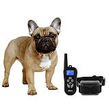 Нашийник для корекції поведінки та дресирування собак Dog Training PR5, фото 7