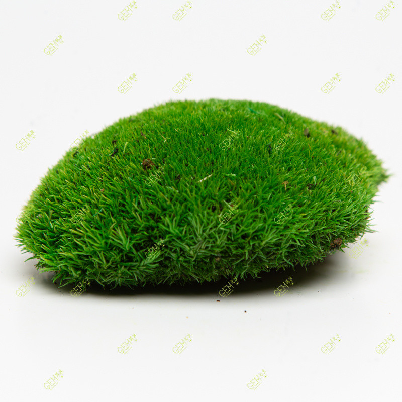 Стабілізований мох Green Ecco Moss купина зелена 1 кг