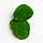 Стабілізований мох Green Ecco Moss купина зелена 1 кг, фото 4
