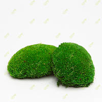 Стабилизированный мох Green Ecco Moss  кочка зеленый 0,5 кг.