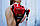 Рукавички для фітнесу і важкої атлетики Power System Pro Grip EVO PS-2250E Red M, фото 6
