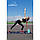 Блок для йоги PowerPlay 4006 Yoga Brick М'ятний, фото 9