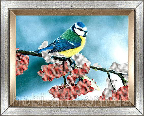 Синичка ЧК-А4-50 Атлас