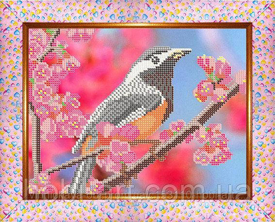 Весняний птах ЧК-А4-42 Атлас