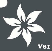 Трафарет для біотату V81, 6*6 див.