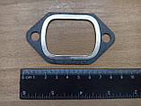 Прокладка впускного колектора Т-40 Т-25 (Д-144), фото 5