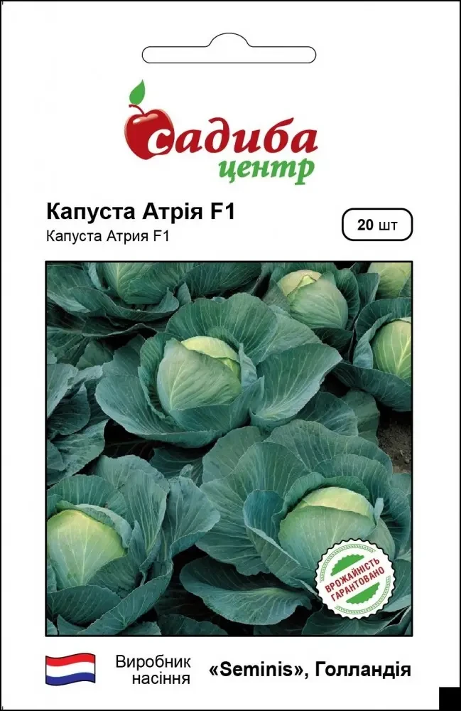 Капуста Атрія F1, 20 шт