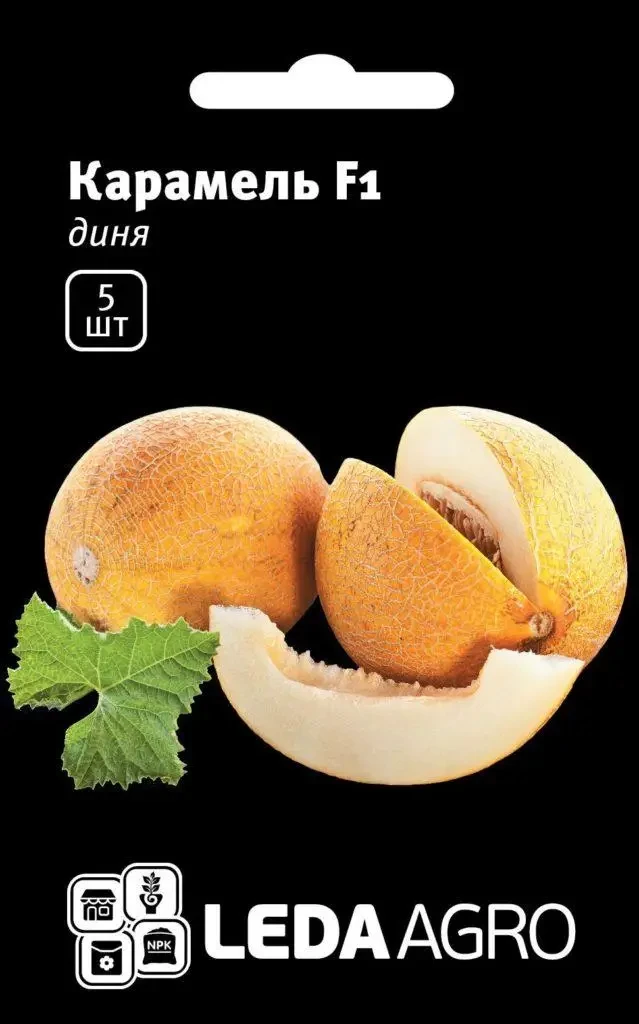 Диня Карамель F1, 5 шт
