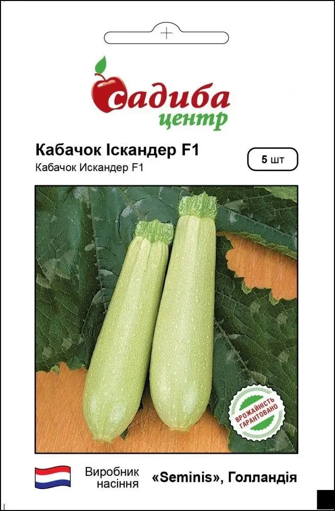 Кабачок Іскандер F1, 5 шт