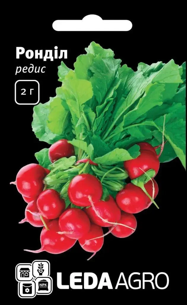 Редиска Рондил, 2г