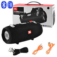 Bluetooth-колонка JBL XTEMRE 2 MINI, speakerphone, радио, black