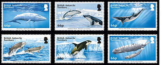 Серії, підборіддя, комплекти