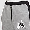 Брюки Jordan M J Jmc Flc Pant (CK6739-091), фото 5