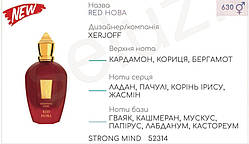 Концентрат STRONG MIND 100гр (Альтернатива Xerjoff Red Hoba)