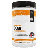 BCAA North Coast Naturals, 300 грамм