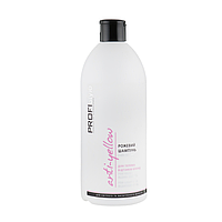 Розовый шампунь для теплых оттенков блонд Profi Style Anti-Yellow Pink Shampoo For Warm Blond Shasdes 500ml