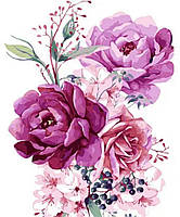 Картина за номерами Букет розовых цветов, 40х50 (VA-3302)