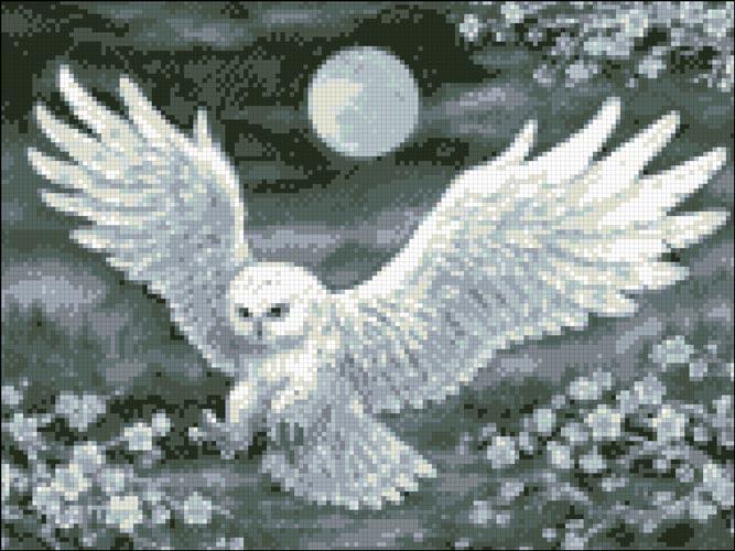 АМС-171. Біла сова. Алмазна мозаїка 30х40см
