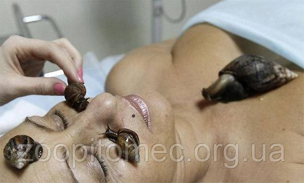 Қыздар шарларды кесіп тастады