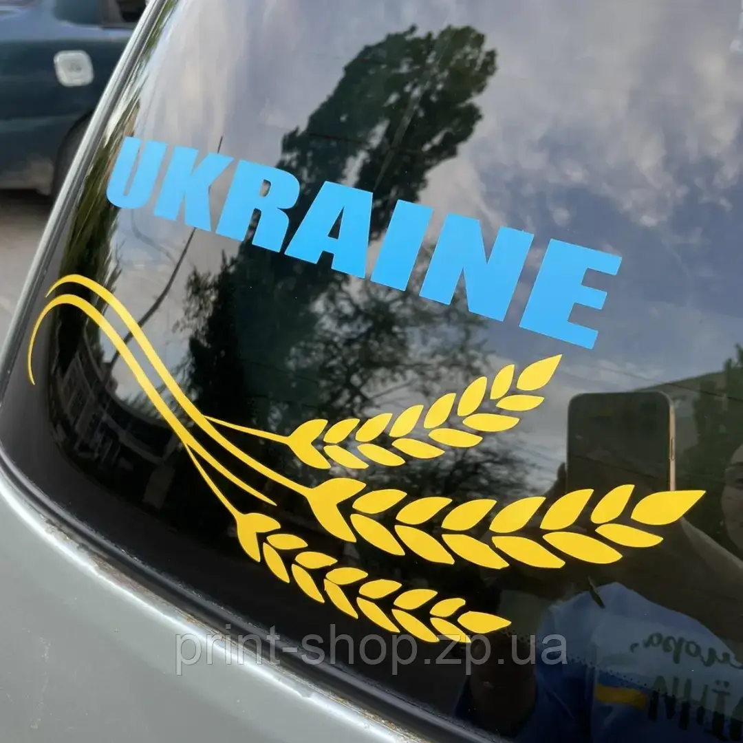 Наліпка на авто аплікація "Колоски " 30 см, фото 1