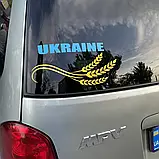 Наліпка на авто аплікація "Колоски " 30 см, фото 2