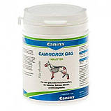 Вітамінно-мінеральна добавка Canina Canhydrox Petvital Gag хондропротектор для собак і кішок 60тб, фото 3