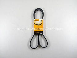 Поліклинові (ручейковий) ремінь Фольксваген ЛТ 2.8 TDI (125/130л.с.) (-AC) 97-02 CONTITECH (Німеччина) 6PK1642