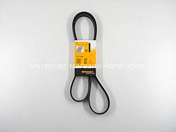 Поліклинові (ручейковий) ремінь Фольксваген ЛТ 2.8 TDI (158л.с.) (-AC) 2002-2006 CONTITECH (Німеччина) 6PK1685