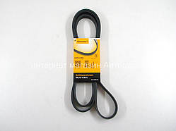 Поліклинові (ручейковий) ремінь Фольксваген ЛТ 2.8 TDI (158л.с.) (+AC) 2002-2006 CONTITECH (Німеччина) 6PK2160