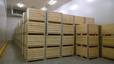 Фруктохранилище. Обладнання для зберігання яблук