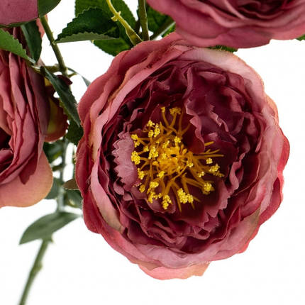 Букет, півонії польові, темно-рожевий, 67 см, у пакованні 2 шт. (8114-006), фото 2