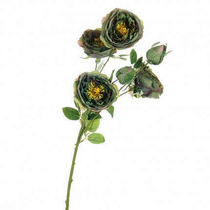 Букет, півонії польові, зелений, 67 см, у пакованні 2 шт. (8114-004), фото 1