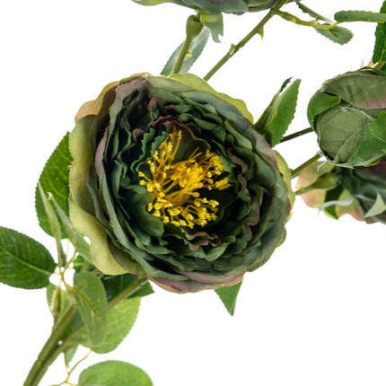 Букет, півонії польові, зелений, 67 см, у пакованні 2 шт. (8114-004), фото 2