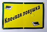 Клейова пастка від гризунів Велика Книжка21*32 см ARGUS, фото 3
