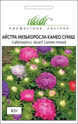 Айстра низькоросла Камео суміш, 0,3 г