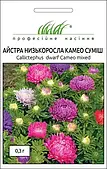 Айстра низькоросла Камео суміш, 0,3 г